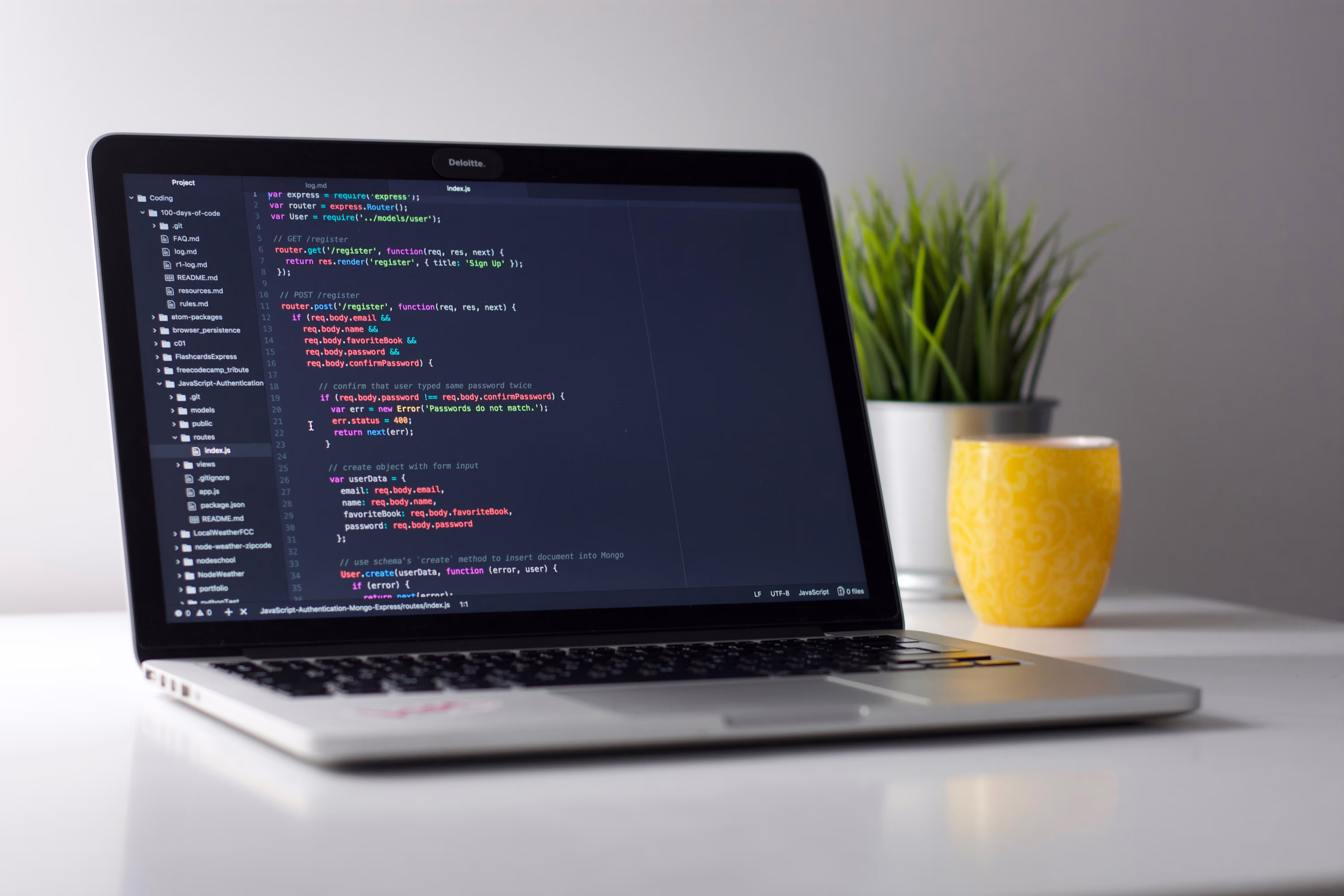 Quel est le rôle d'un développeur web?